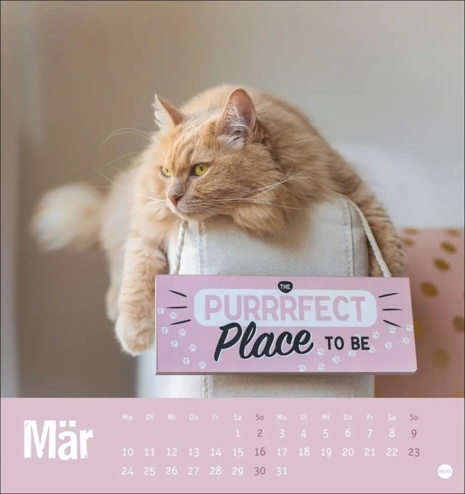 Bild: 9783756407088 | Tierisch entspannte Katzen Postkartenkalender 2025 | Kalender | 2025