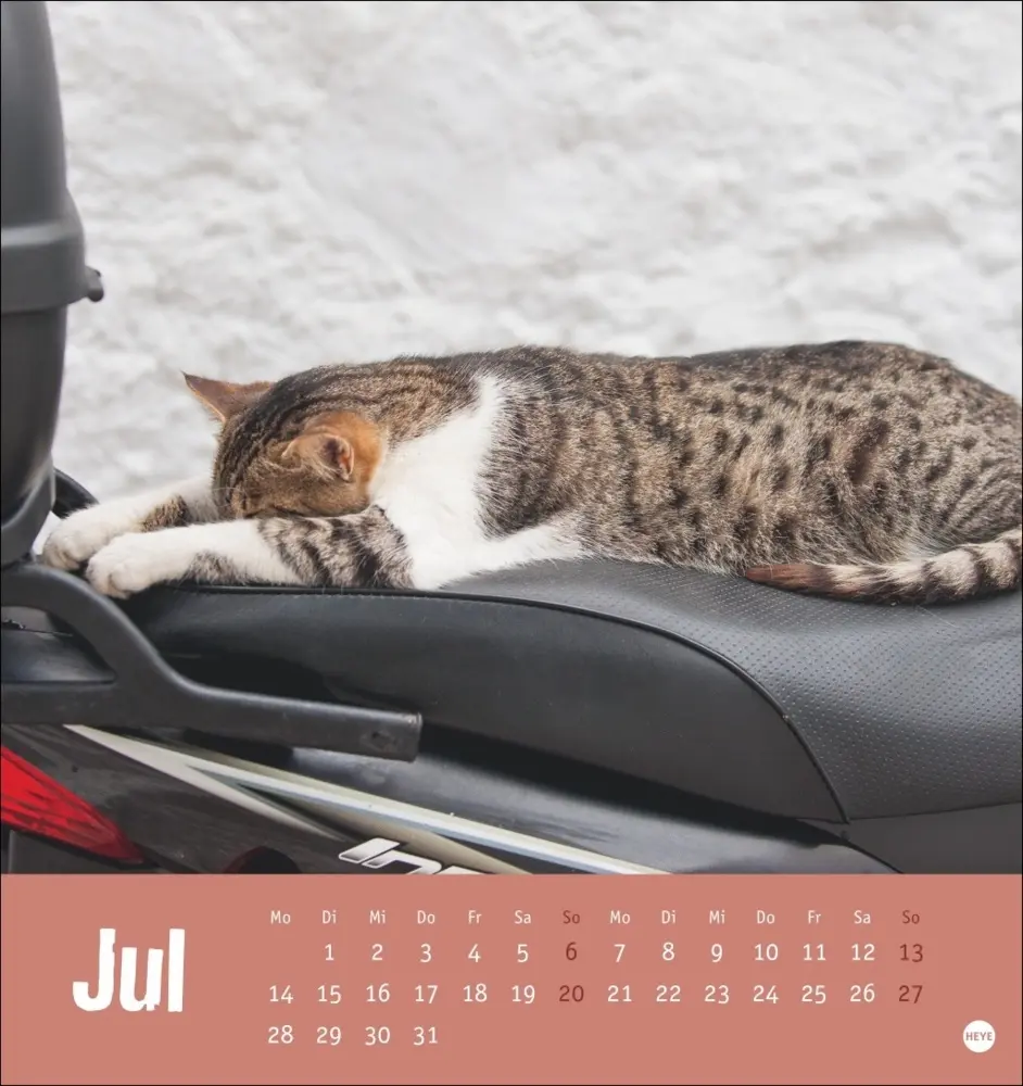 Bild: 9783756407088 | Tierisch entspannte Katzen Postkartenkalender 2025 | Kalender | 2025