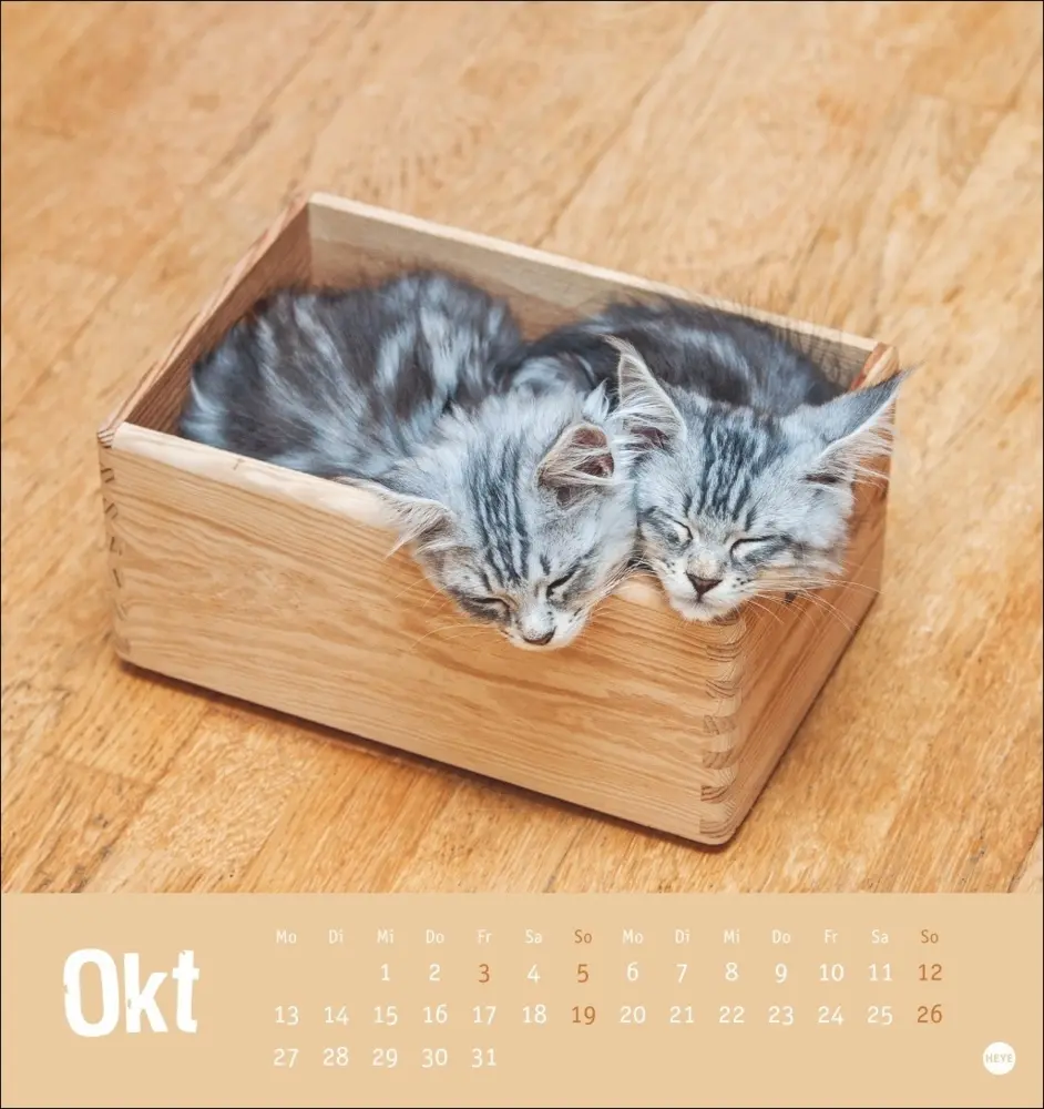 Bild: 9783756407088 | Tierisch entspannte Katzen Postkartenkalender 2025 | Kalender | 2025