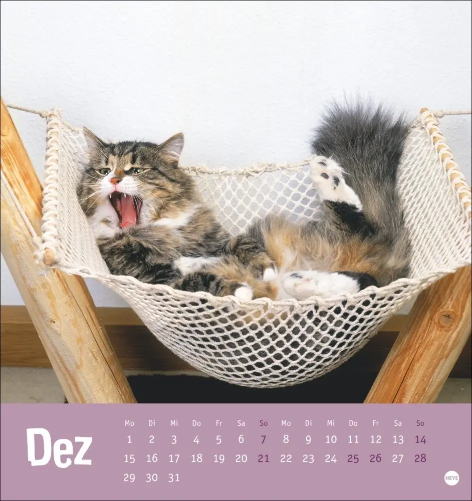 Bild: 9783756407088 | Tierisch entspannte Katzen Postkartenkalender 2025 | Kalender | 2025