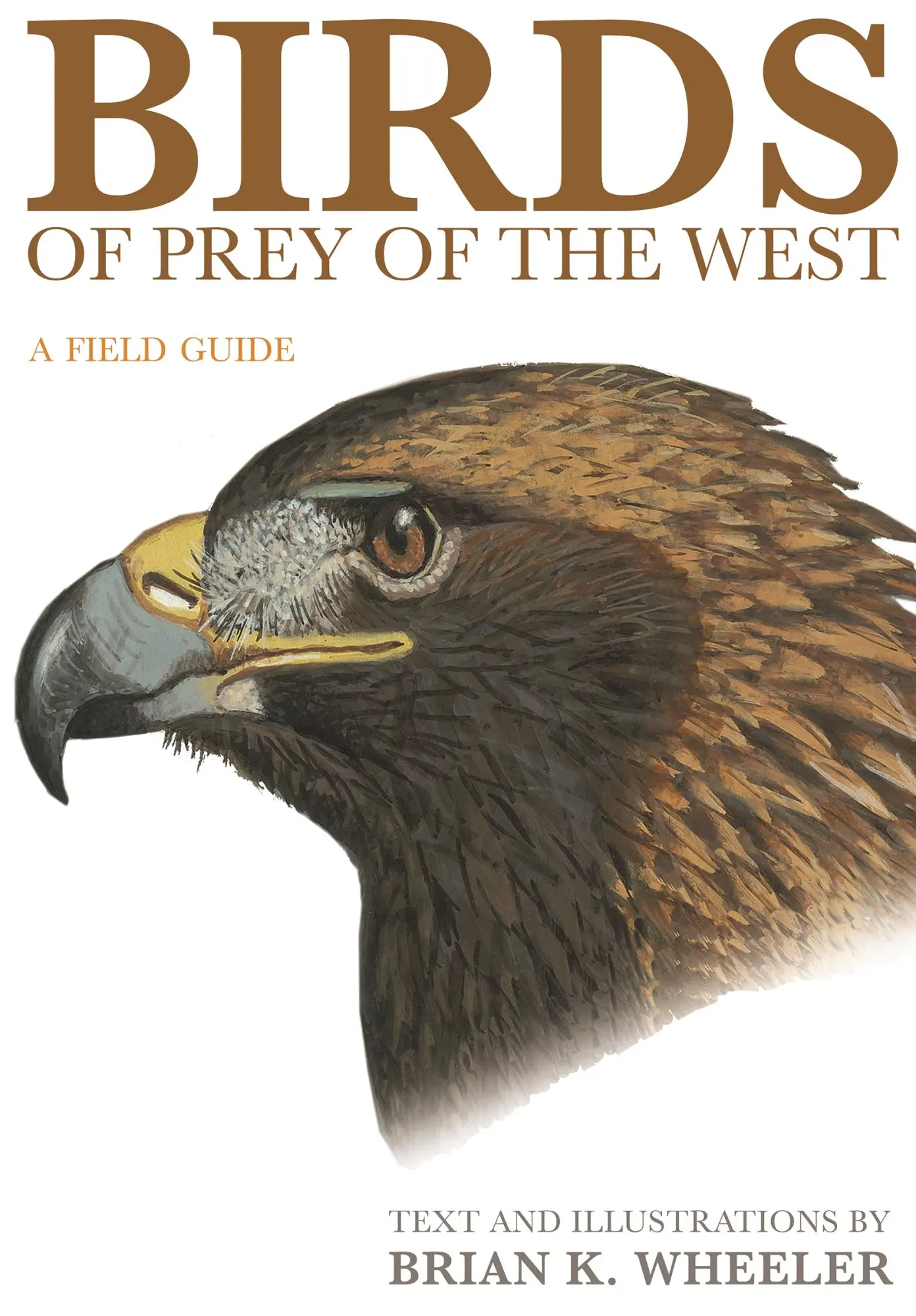 Cover: 9780691117188 | Birds of Prey of the West | A Field Guide | Brian K Wheeler | Buch