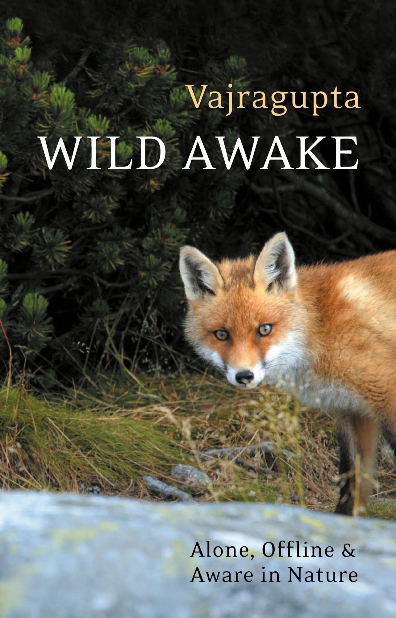 Cover: 9781911407188 | Wild Awake | Alone, Offline and Aware in Nature | Vajragupta | Buch