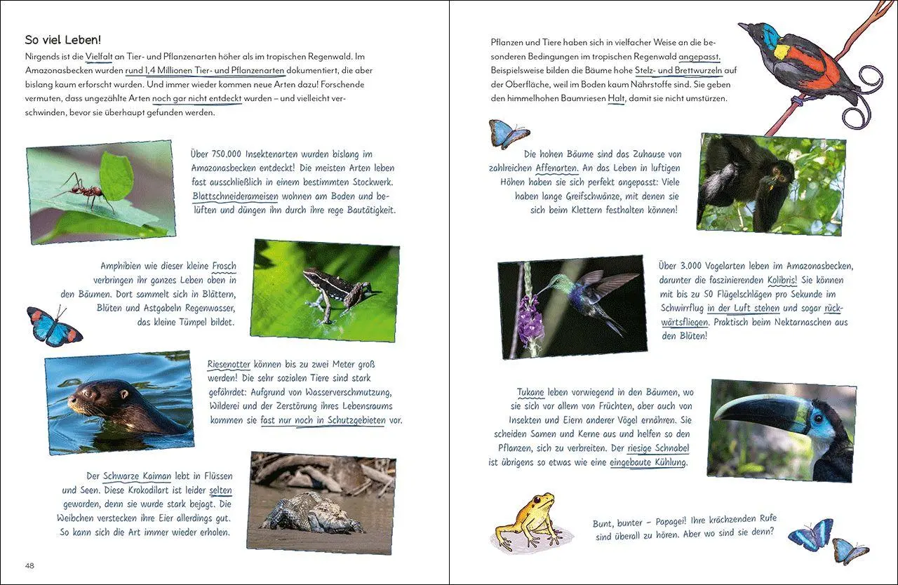 Bild: 9783743217188 | Mit Michael Martin um die Welt - Unsere einzigartige Erde | Buch