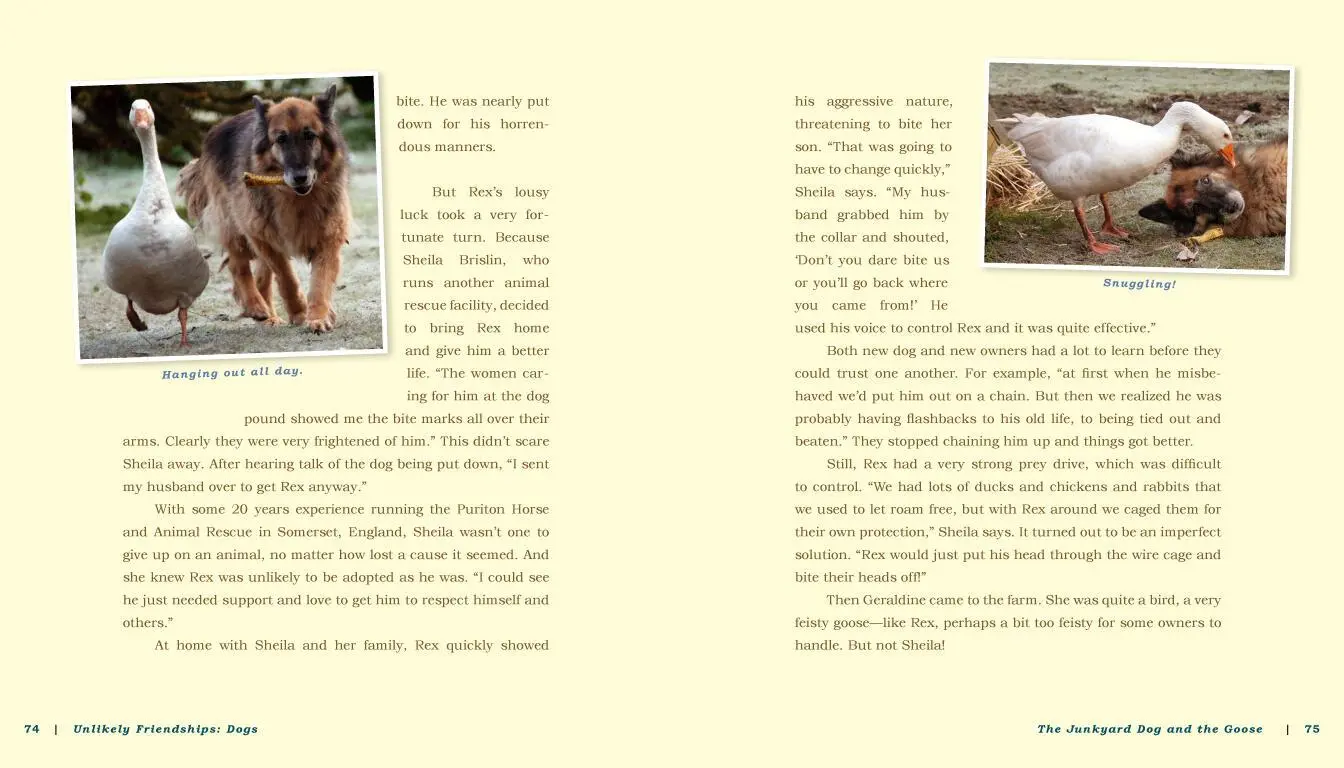 Bild: 9780761187288 | Unlikely Friendships: Dogs | Jennifer S Holland | Taschenbuch | 2016
