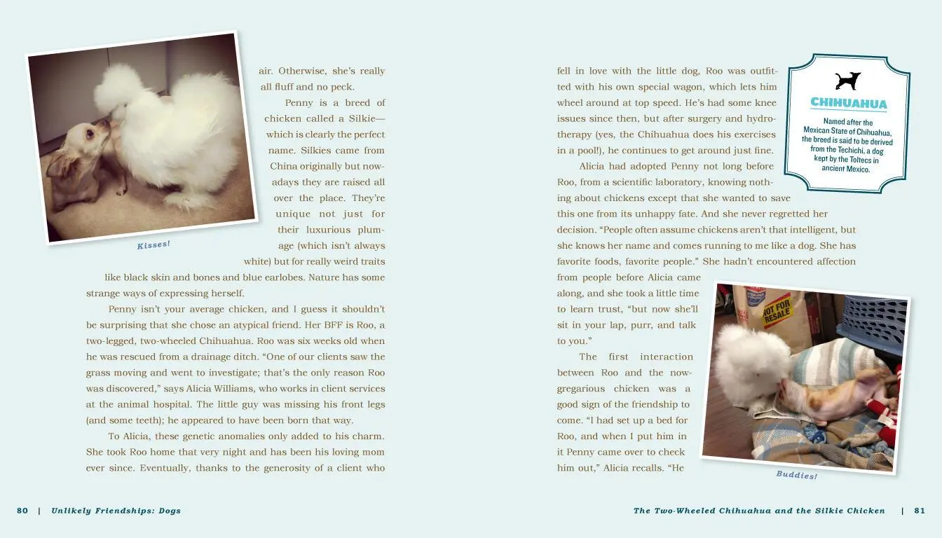 Bild: 9780761187288 | Unlikely Friendships: Dogs | Jennifer S Holland | Taschenbuch | 2016