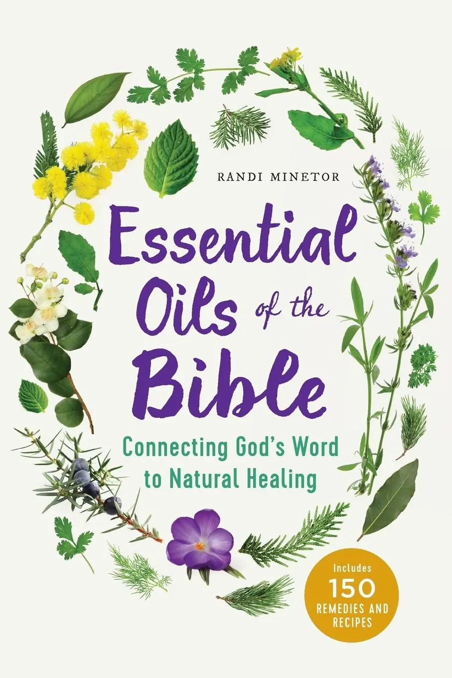 Cover: 9781623157388 | Essential Oils of the Bible | Connecting God's Word to Natural Healing