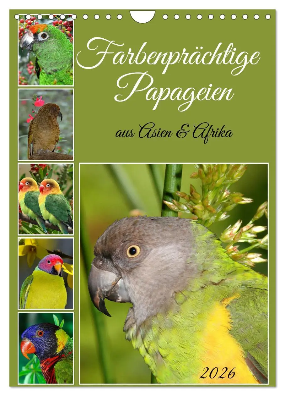 Cover: 9783516347388 | Farbenprächtige Papageien aus Asien und Afrika (Wandkalender 2026...