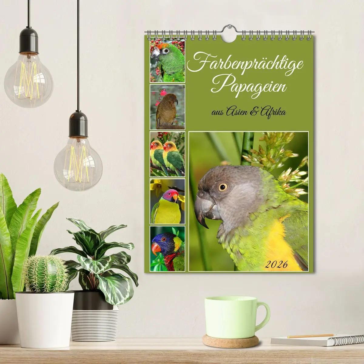 Bild: 9783516347388 | Farbenprächtige Papageien aus Asien und Afrika (Wandkalender 2026...