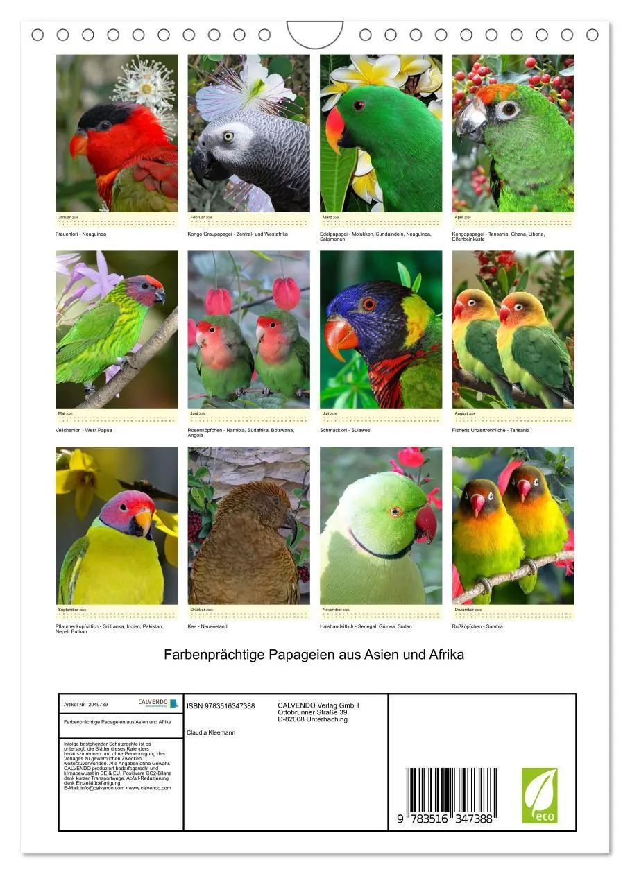 Bild: 9783516347388 | Farbenprächtige Papageien aus Asien und Afrika (Wandkalender 2026...