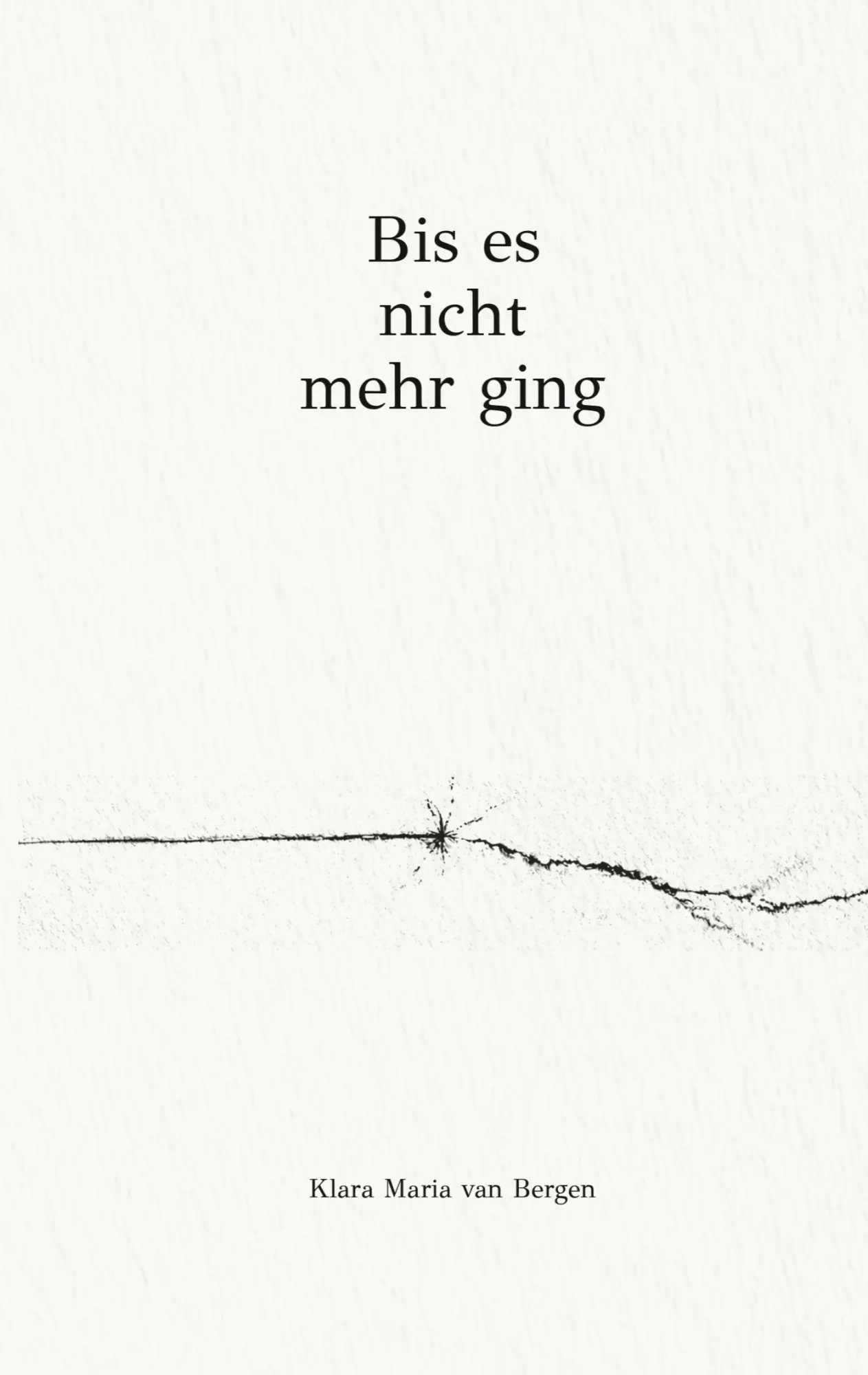 Cover: 9783696397388 | Bis es nicht mehr ging | Klara Maria van Bergen | Taschenbuch | 78 S.