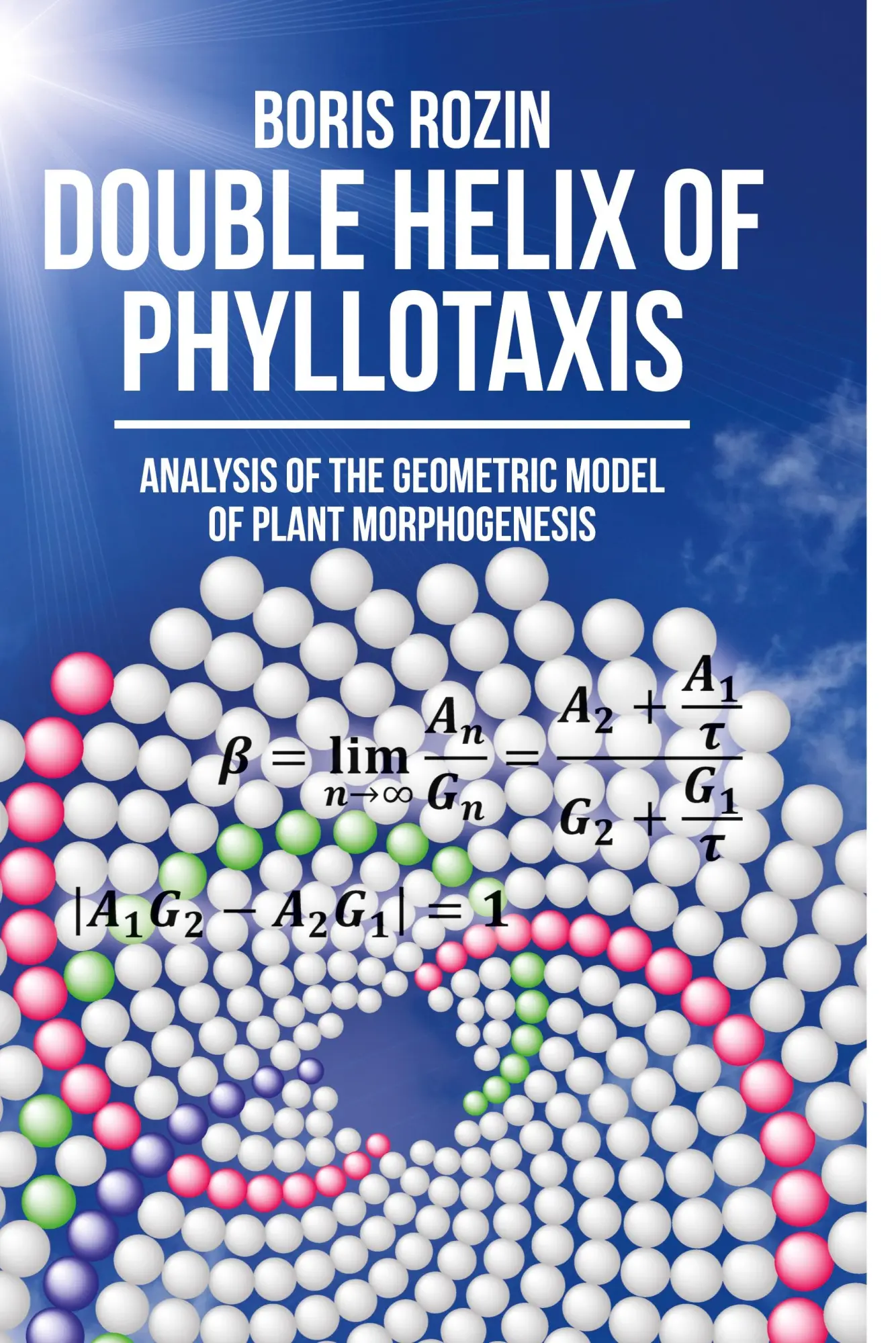 Cover: 9781627347488 | Double Helix of Phyllotaxis | Boris Rozin | Taschenbuch | Englisch