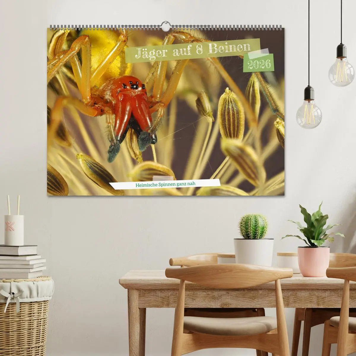 Bild: 9783457557488 | Jäger auf acht Beinen (Wandkalender 2026 DIN A2 quer), CALVENDO...