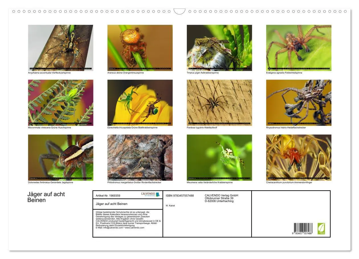 Bild: 9783457557488 | Jäger auf acht Beinen (Wandkalender 2026 DIN A2 quer), CALVENDO...