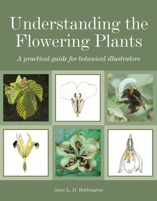 Cover: 9781847977588 | Understanding the Flowering Plants | Anne Bebbington | Taschenbuch