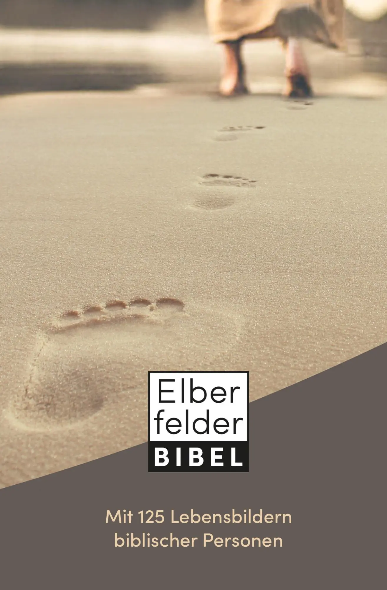 Cover: 9783417257588 | Elberfelder Bibel mit 125 Lebensbildern biblischer Personen | Buch