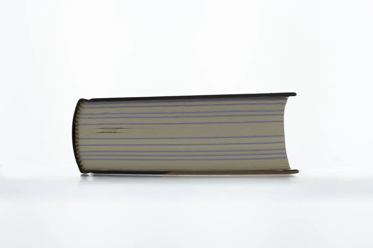 Bild: 9783417257588 | Elberfelder Bibel mit 125 Lebensbildern biblischer Personen | Buch