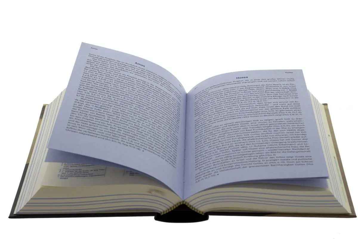 Bild: 9783417257588 | Elberfelder Bibel mit 125 Lebensbildern biblischer Personen | Buch