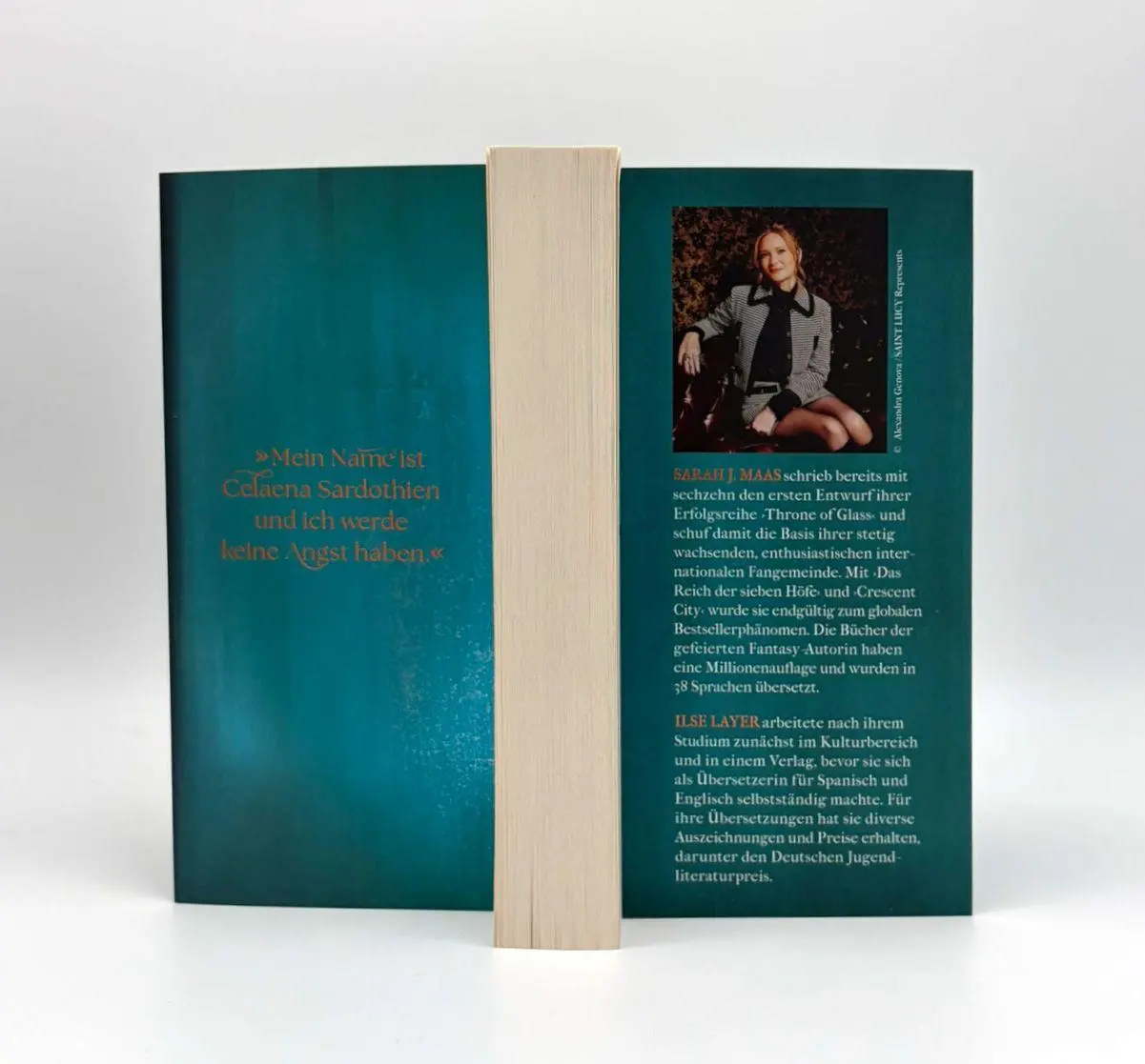 Bild: 9783423717588 | Throne of Glass - Celaenas Geschichte, Novella 1-5 | Sarah J. Maas