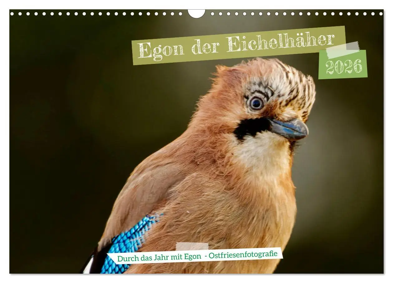 Cover: 9783457547588 | Egon der Eichelhäher - Durch das Jahr mit Egon - von...