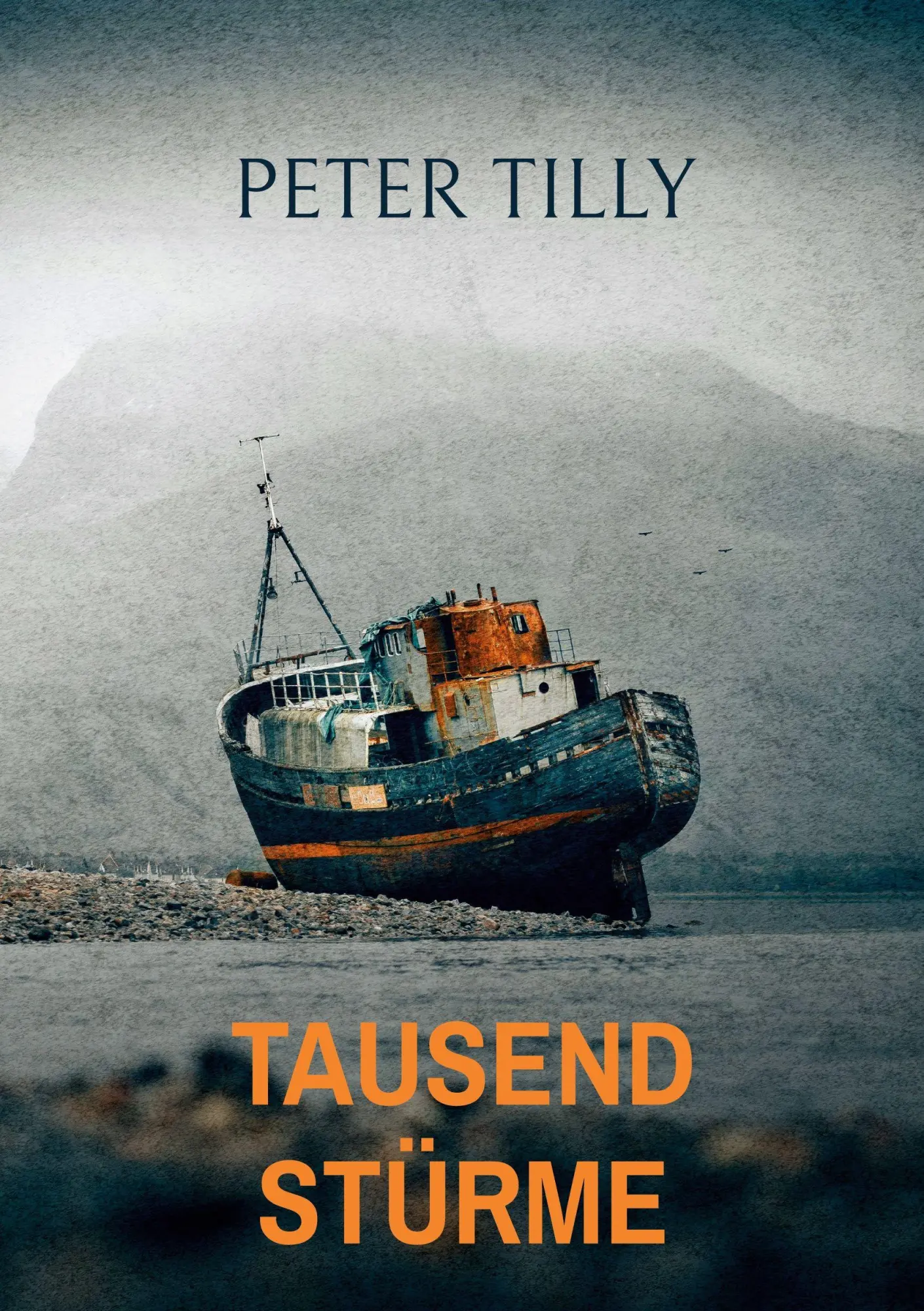 Cover: 9783696377588 | Tausend Stürme | Peter Tilly | Taschenbuch | 272 S. | Deutsch | 2026