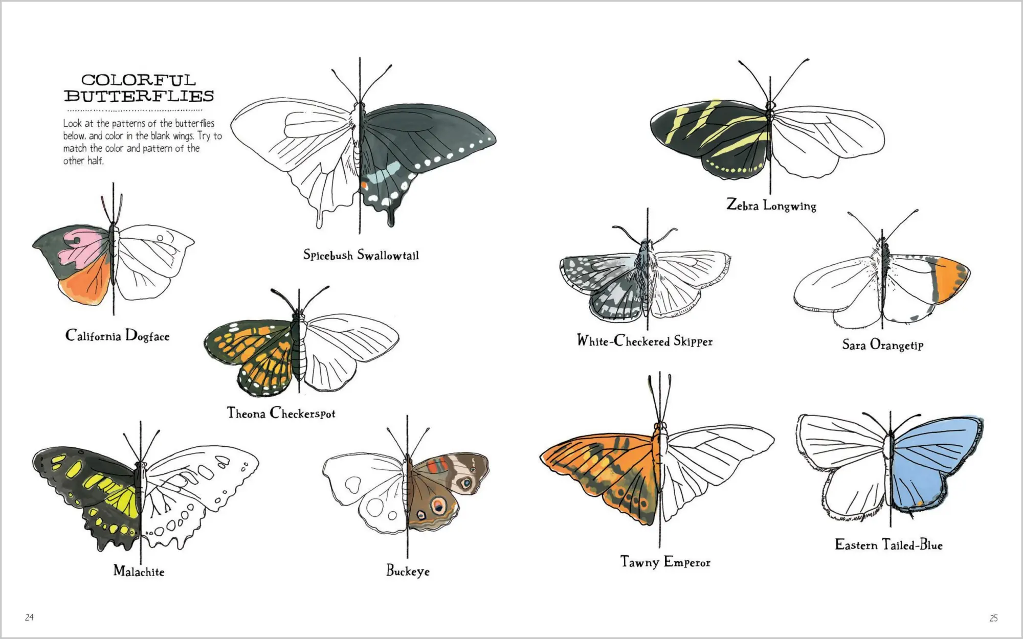 Bild: 9781635867688 | Julia Rothman's Nature Anatomy Activity Book | Julia Rothman | Buch