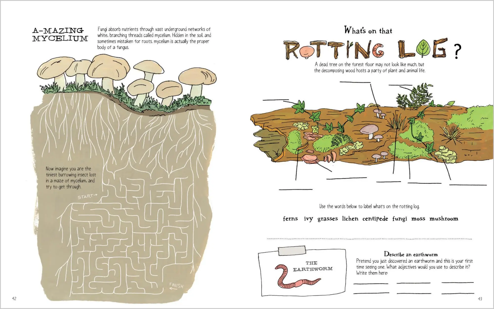 Bild: 9781635867688 | Julia Rothman's Nature Anatomy Activity Book | Julia Rothman | Buch