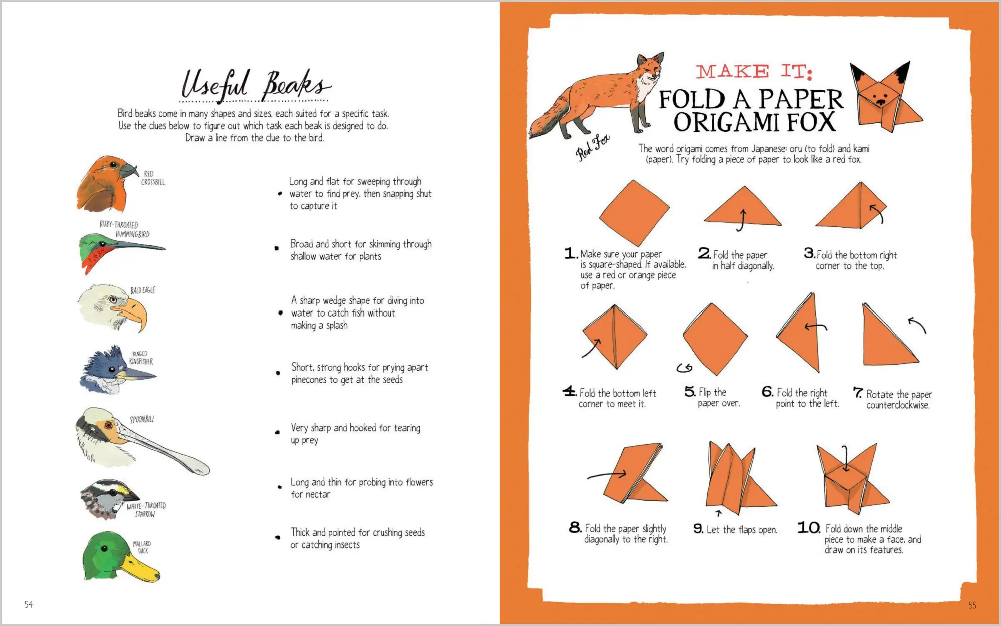 Bild: 9781635867688 | Julia Rothman's Nature Anatomy Activity Book | Julia Rothman | Buch