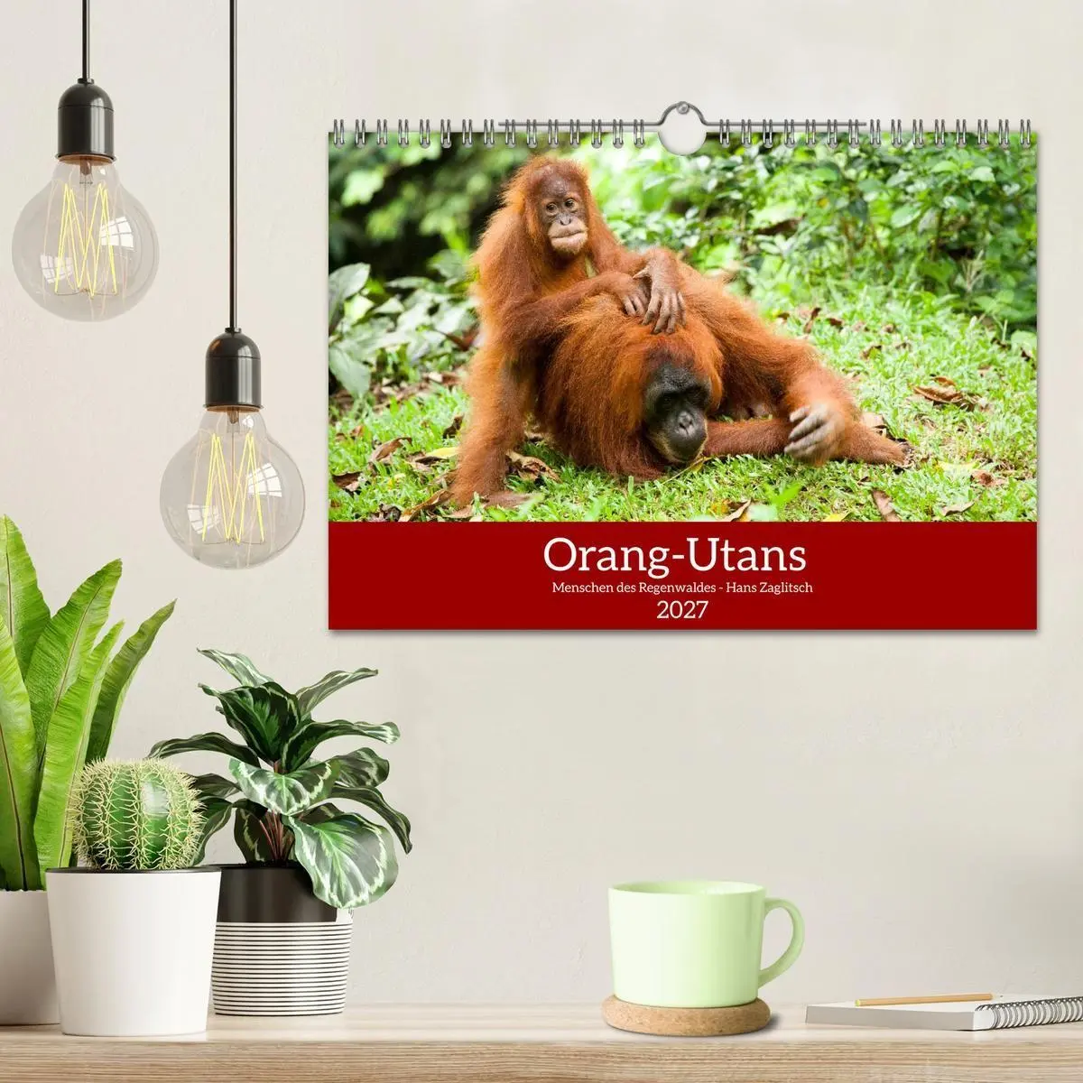 Bild: 9783516797688 | Orang-Utans - Menschen des Regenwaldes (Wandkalender 2027 DIN A4...
