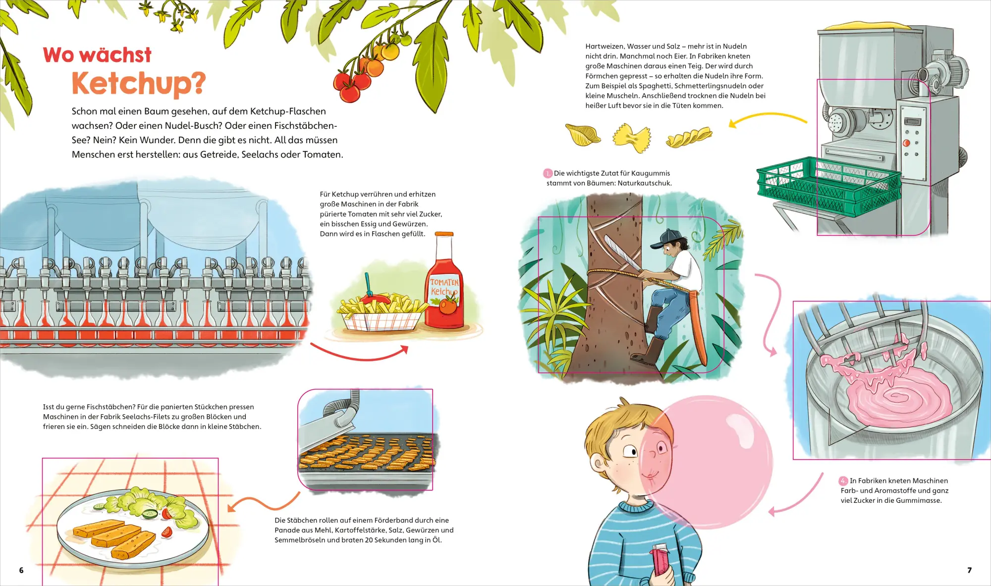 Bild: 9783788677688 | WAS IST WAS Junior Wo wächst Ketchup? | Anke Dörrzapf | Buch | 26 S.