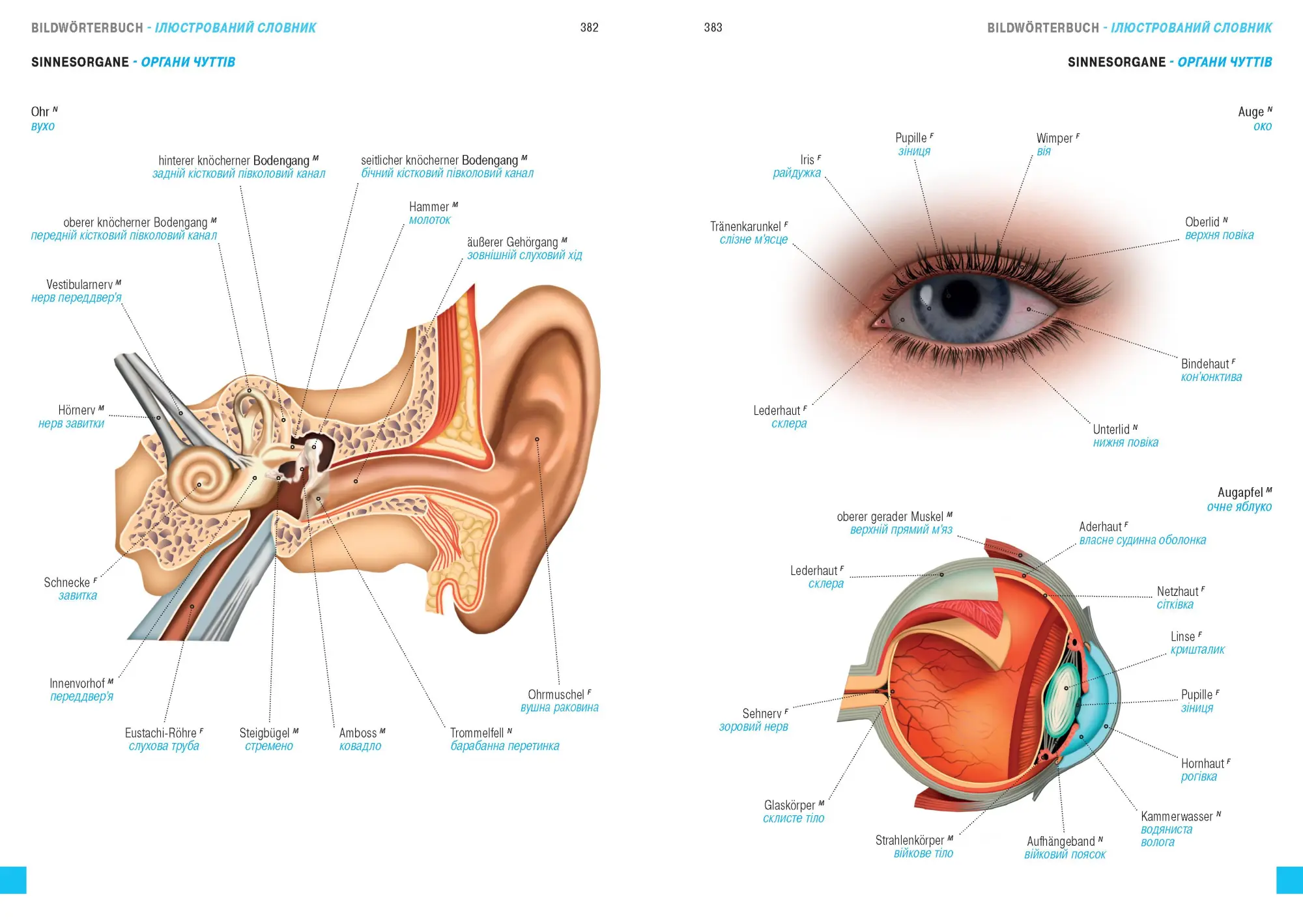 Bild: 9783898947688 | Wörterbuch Medizin Deutsch-Ukrainisch, Ukrainisch-Deutsch mit...