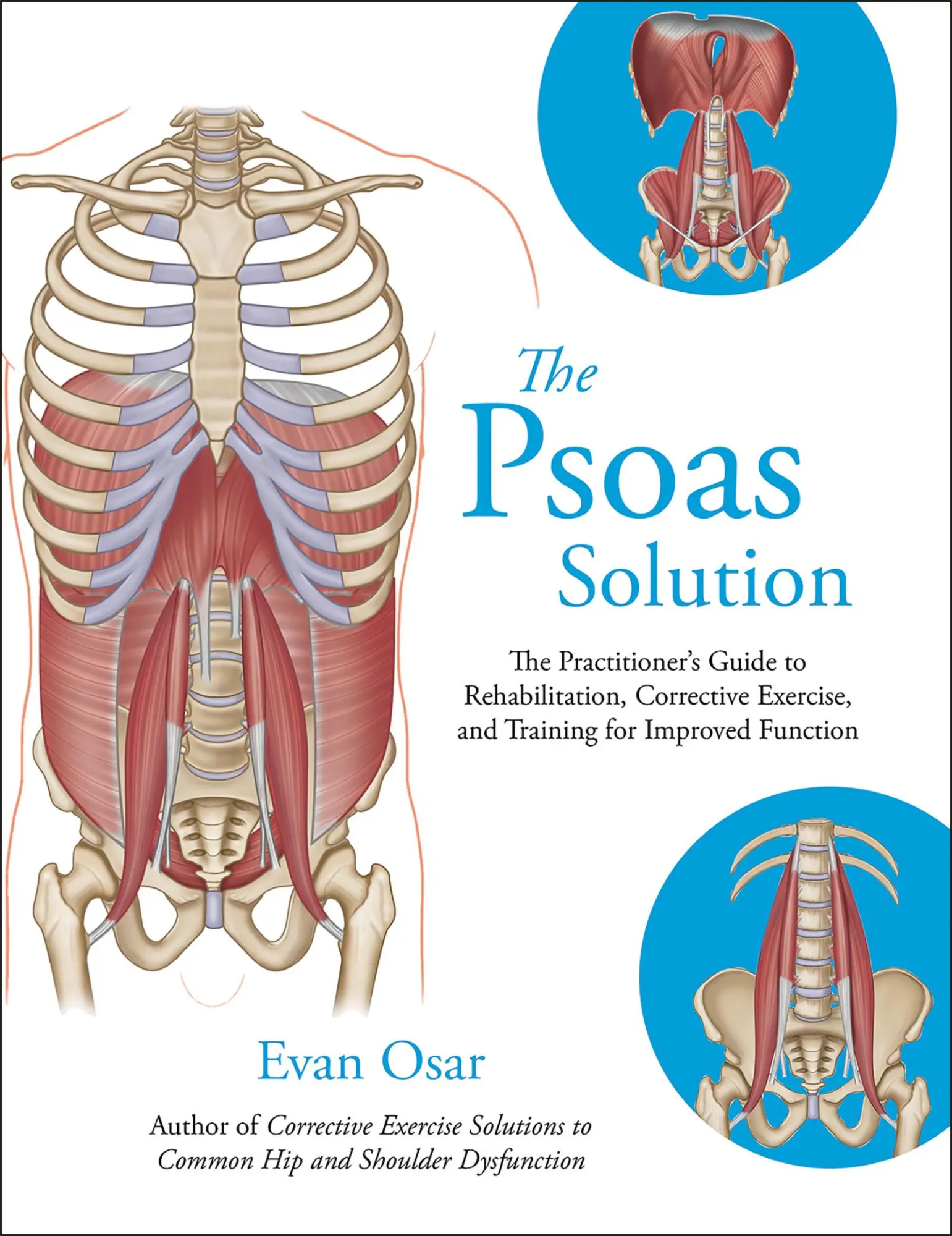 Cover: 9781905367788 | The Psoas Solution | Evan Osar | Taschenbuch | Englisch | 2017