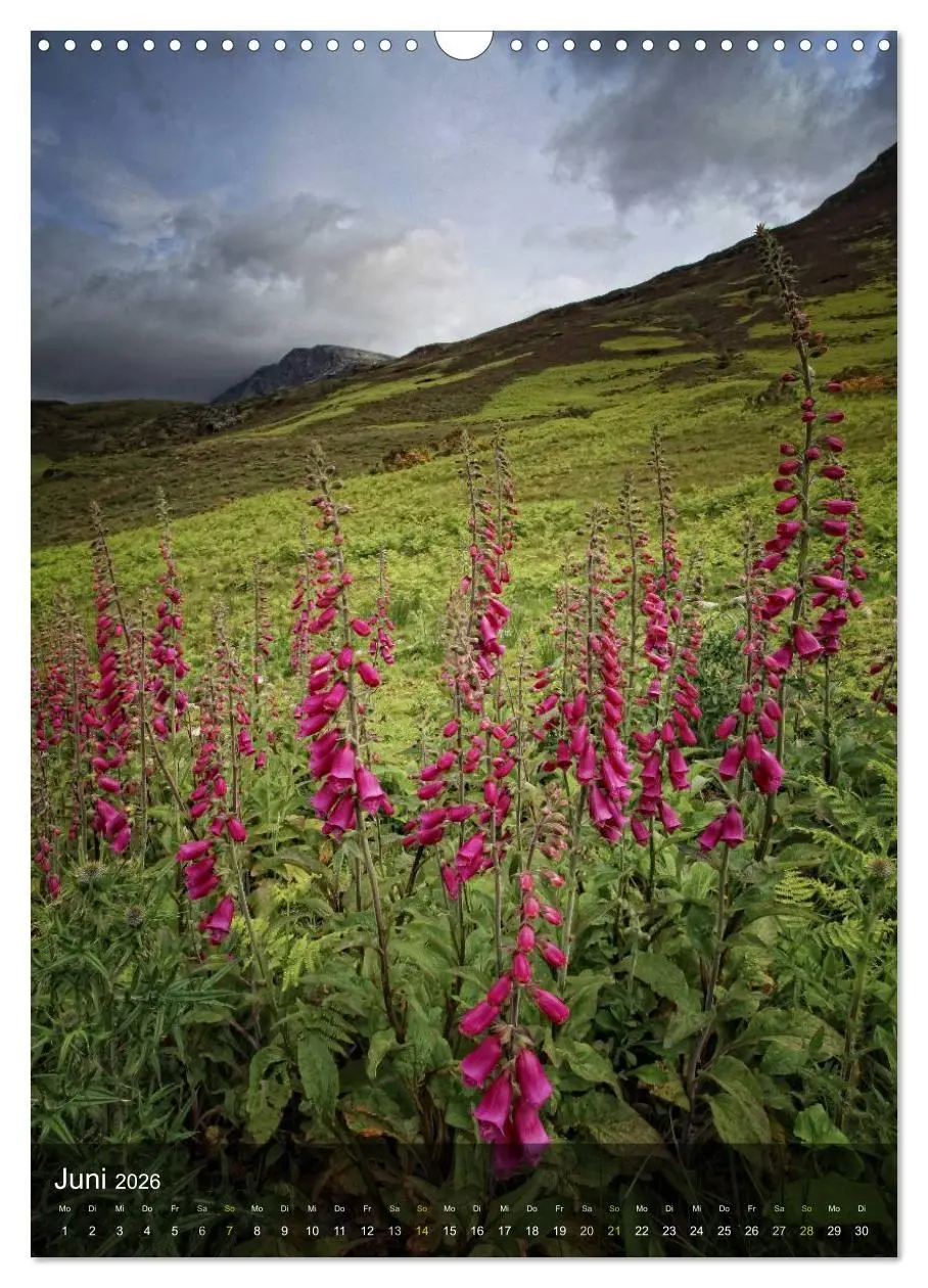Bild: 9783516477788 | Traumhaftes Schottland (Wandkalender 2026 DIN A3 hoch), CALVENDO...