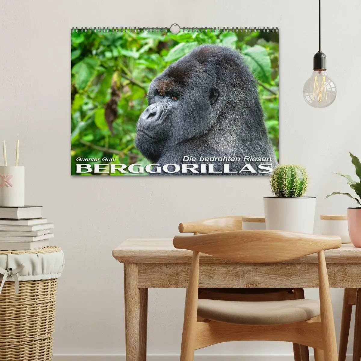 Bild: 9783457687888 | Berggorillas: die bedrohten Riesen (Wandkalender 2026 DIN A3 quer),...