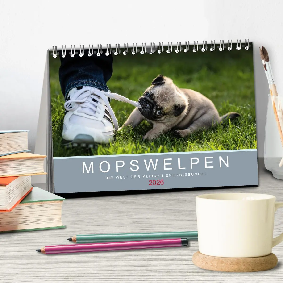 Bild: 9783457757888 | Mopswelpen (Tischkalender 2026 DIN A5 quer), CALVENDO Monatskalender