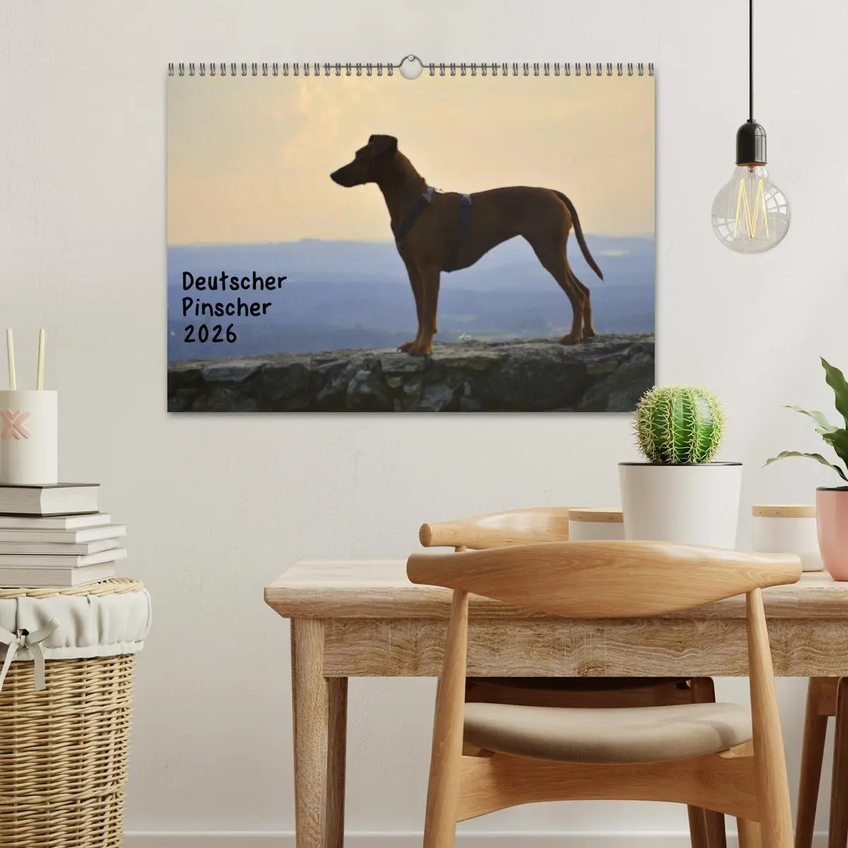 Bild: 9783516087888 | Deutscher Pinscher (Wandkalender 2026 DIN A3 quer), CALVENDO...