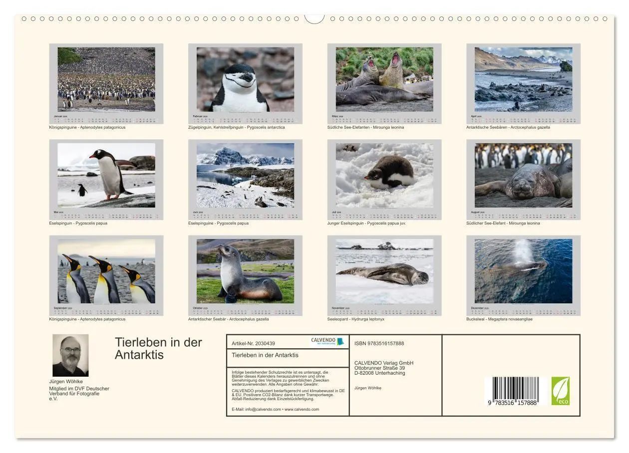 Bild: 9783516157888 | Tierleben in der Antarktis (hochwertiger Premium Wandkalender 2026...