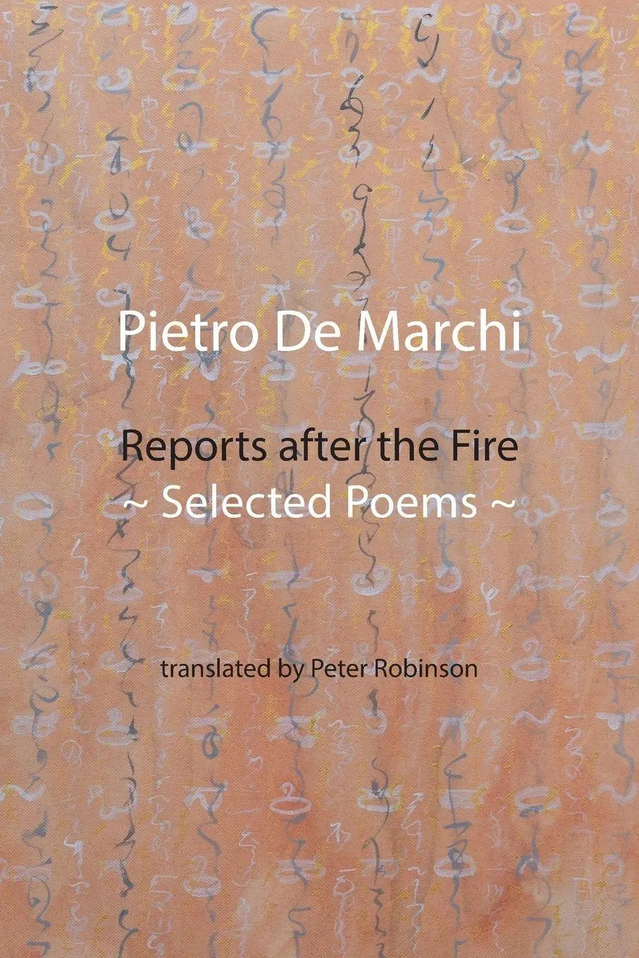 Cover: 9781848617988 | Reports after the Fire | Selected Poems | Pietro De Marchi | Buch
