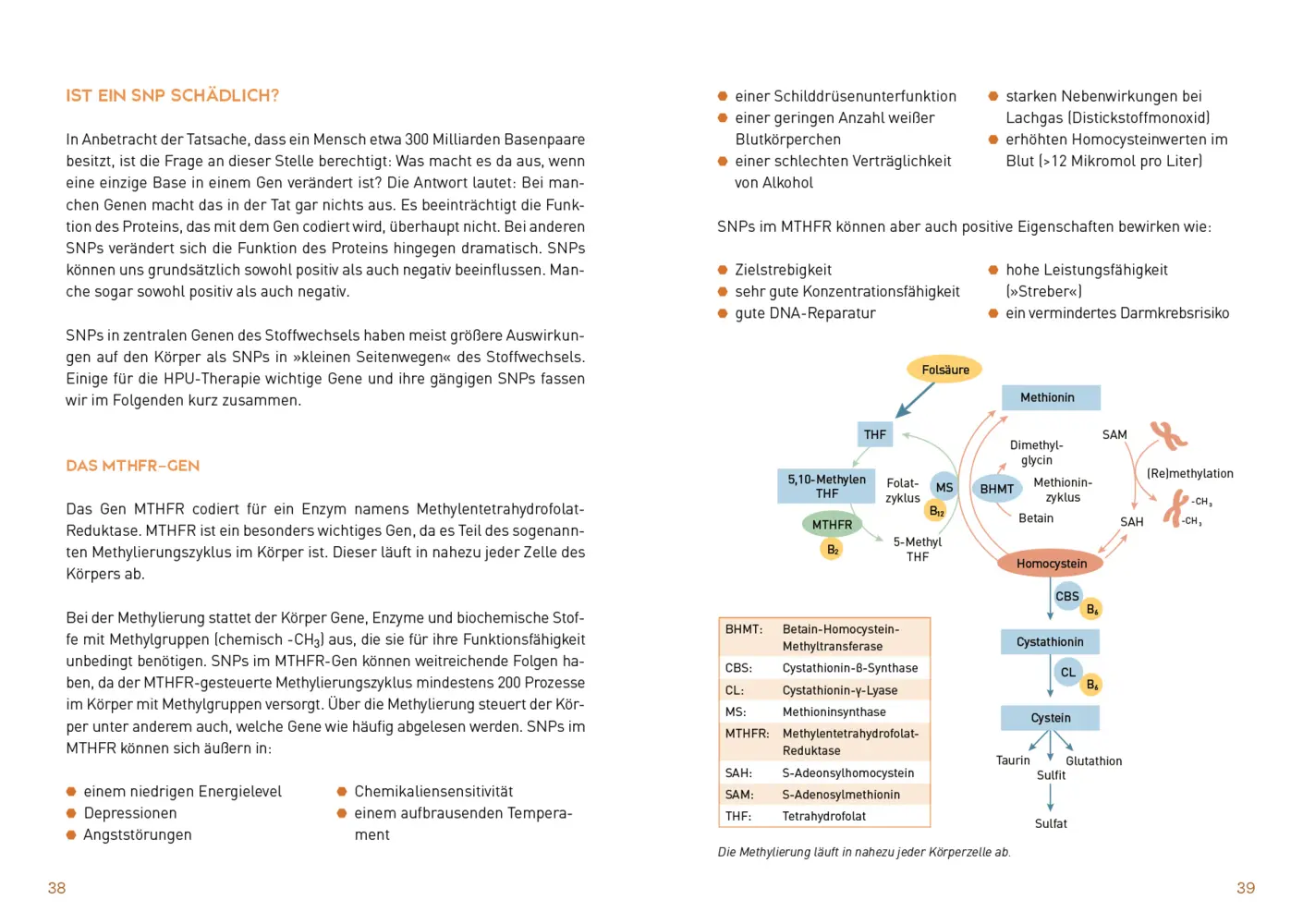 Autor: 9783742317988 | Warum bin ich so müde? | Sonja Schmitzer (u. a.) | Taschenbuch | 2021