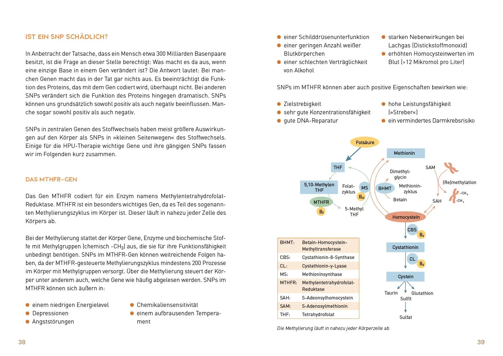 Bild: 9783742317988 | Warum bin ich so müde? | Sonja Schmitzer (u. a.) | Taschenbuch | 2021