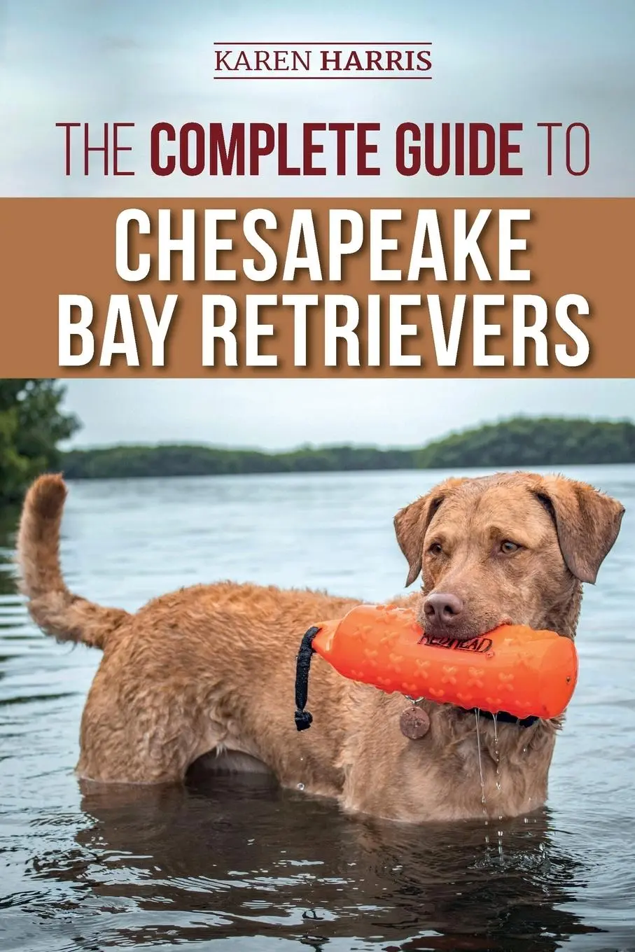 Cover: 9781954288188 | The Complete Guide to Chesapeake Bay Retrievers | Karen Harris | Buch