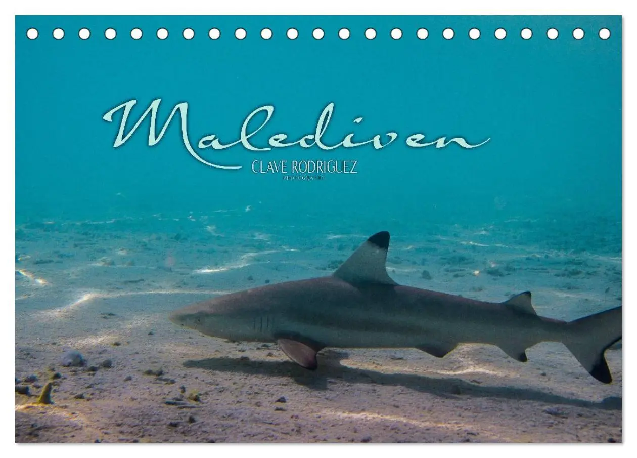 Cover: 9783516198188 | Unterwasserwelt der Malediven I (Tischkalender 2026 DIN A5 quer),...