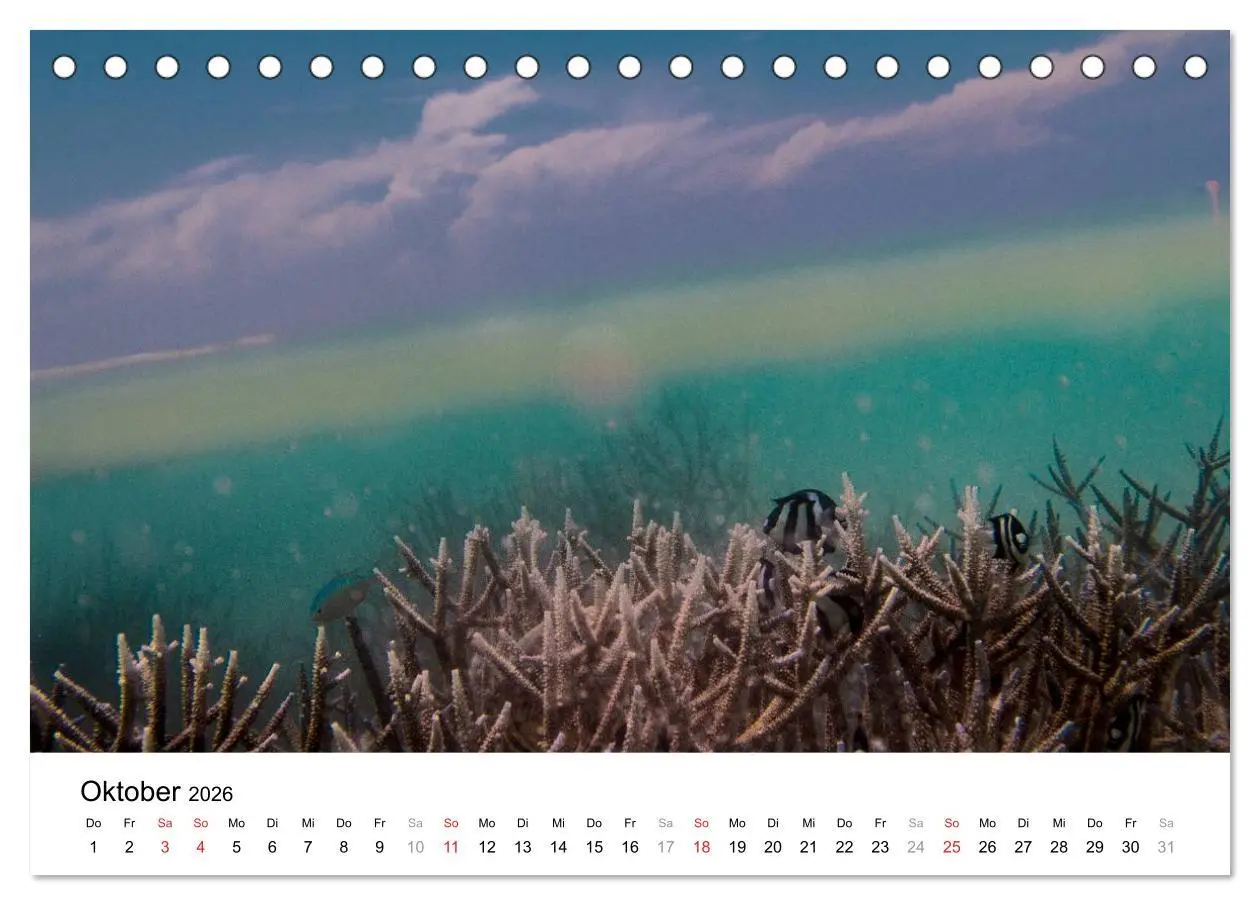 Bild: 9783516198188 | Unterwasserwelt der Malediven I (Tischkalender 2026 DIN A5 quer),...