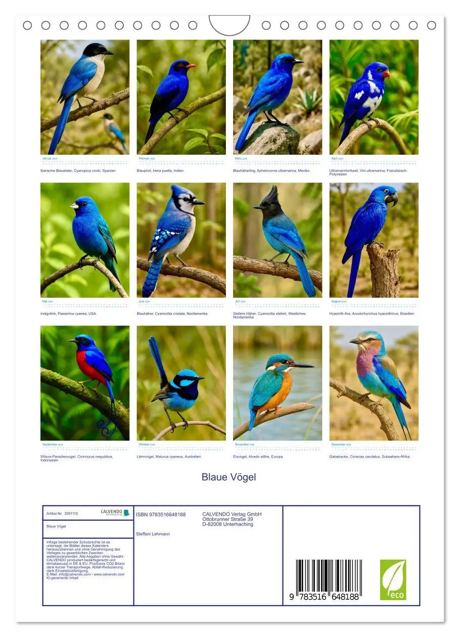 Bild: 9783516648188 | Blaue Vögel (Wandkalender 2026 DIN A4 hoch), CALVENDO Monatskalender