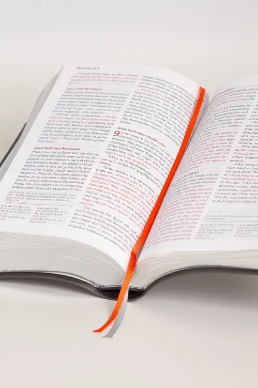 Bild: 9783417258288 | Neues Leben. Die Bibel, Standardausgabe, Kunstleder schwarzplatin