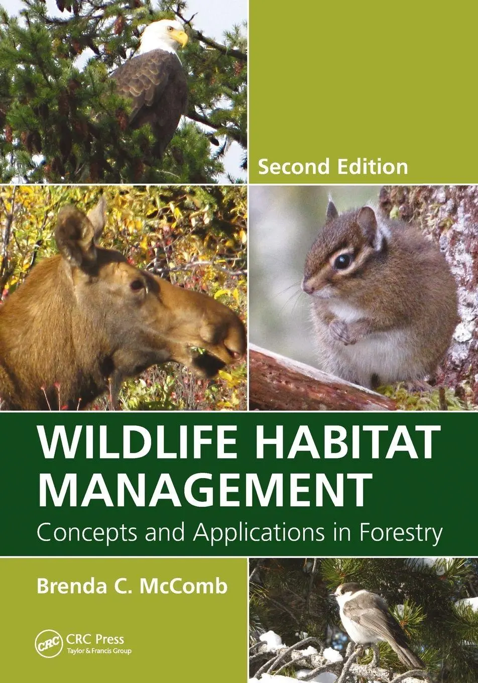 Cover: 9781032098388 | Wildlife Habitat Management | Brenda C. McComb | Taschenbuch | 2021