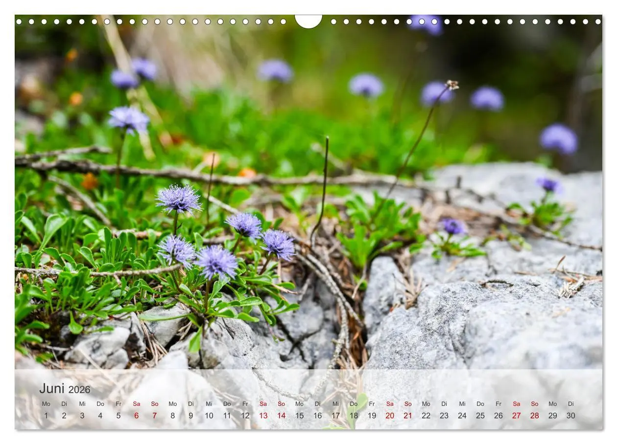 Bild: 9783457398388 | Alpenwelten-Zwischen Wetterstein und Karwendel (Wandkalender 2026...