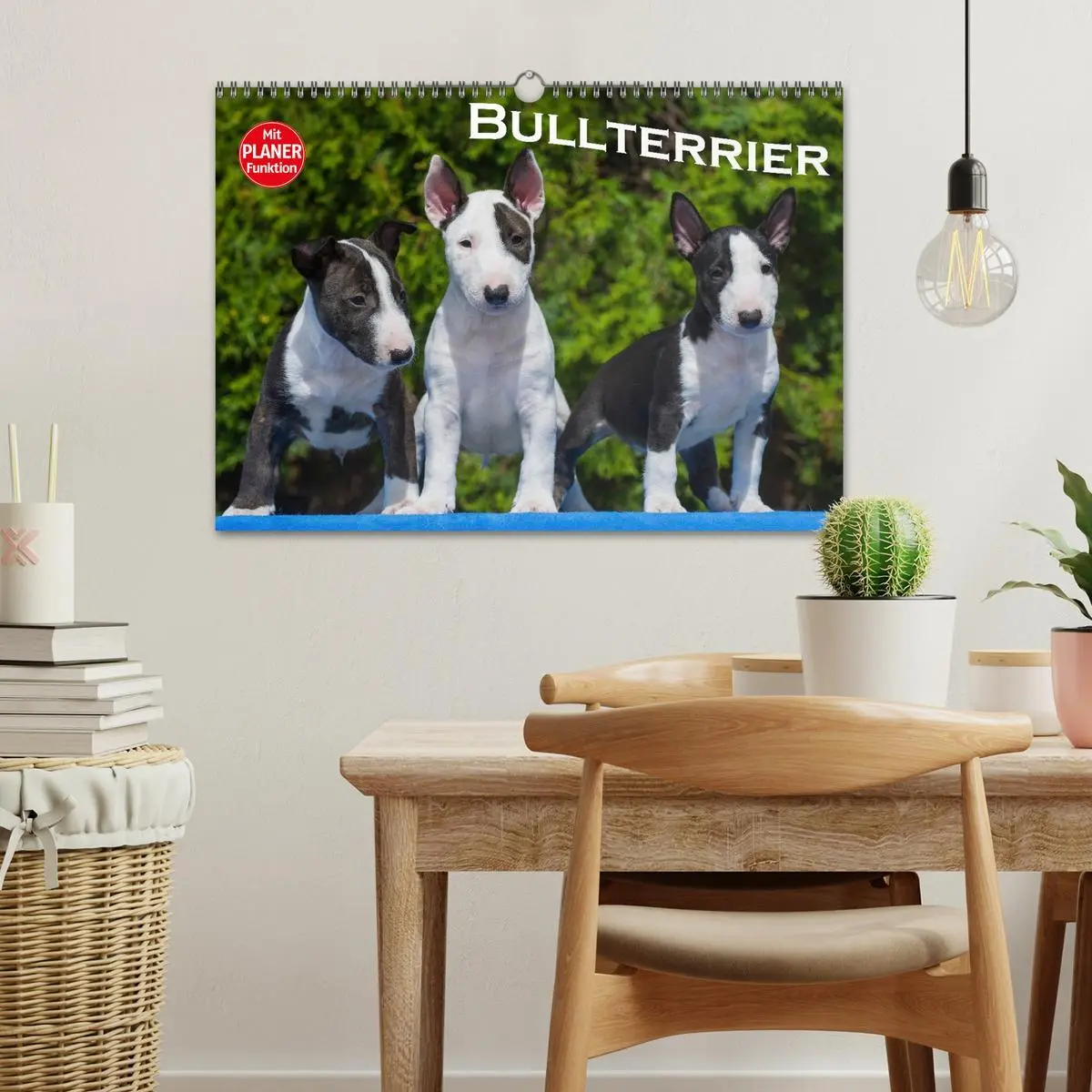Bild: 9783516008388 | Bullterrier (Wandkalender 2026 DIN A3 quer), CALVENDO Monatskalender