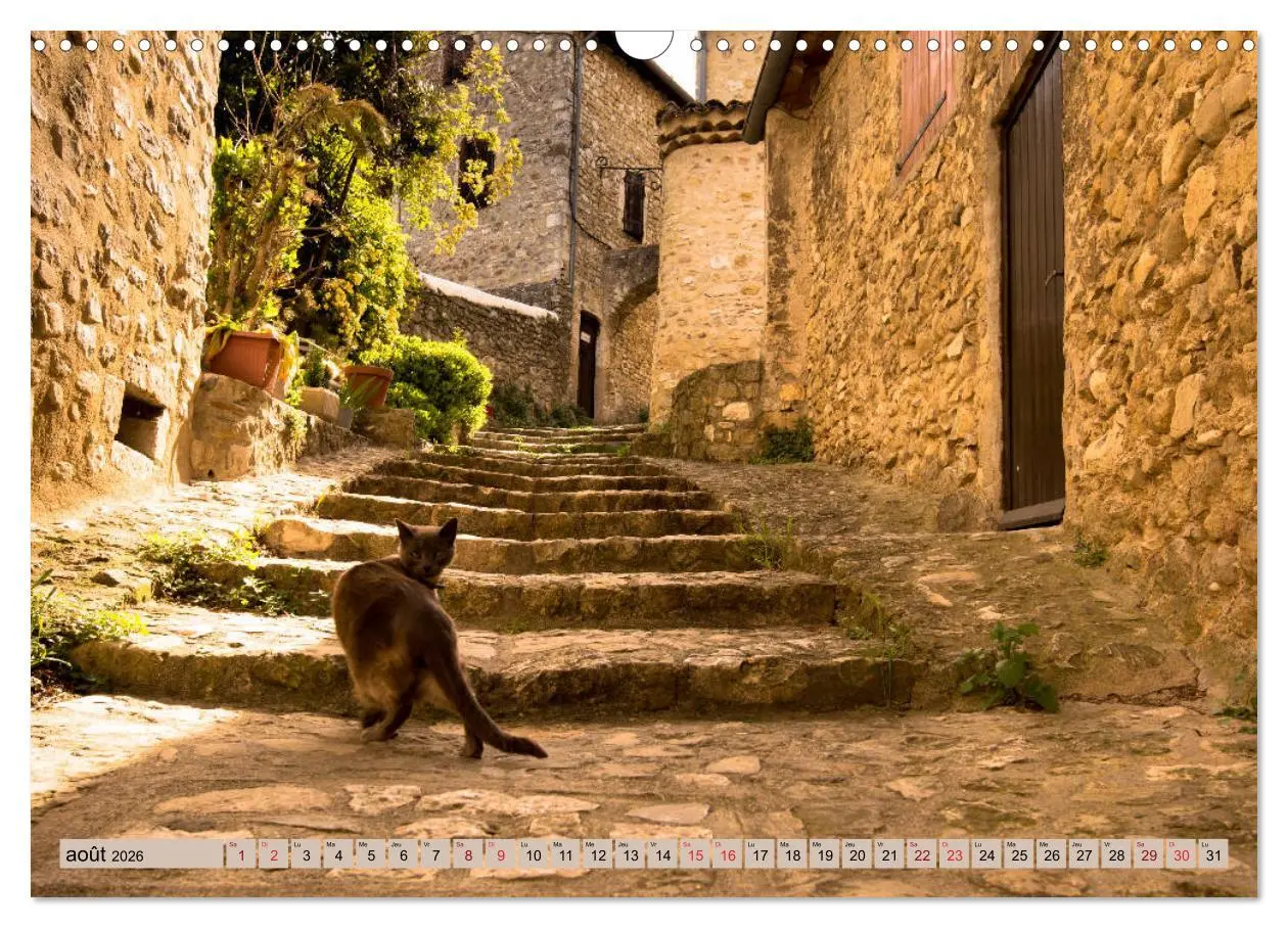 Bild: 9783516558388 | La France des villages (Calendrier mural 2026 DIN A3 vertical),...