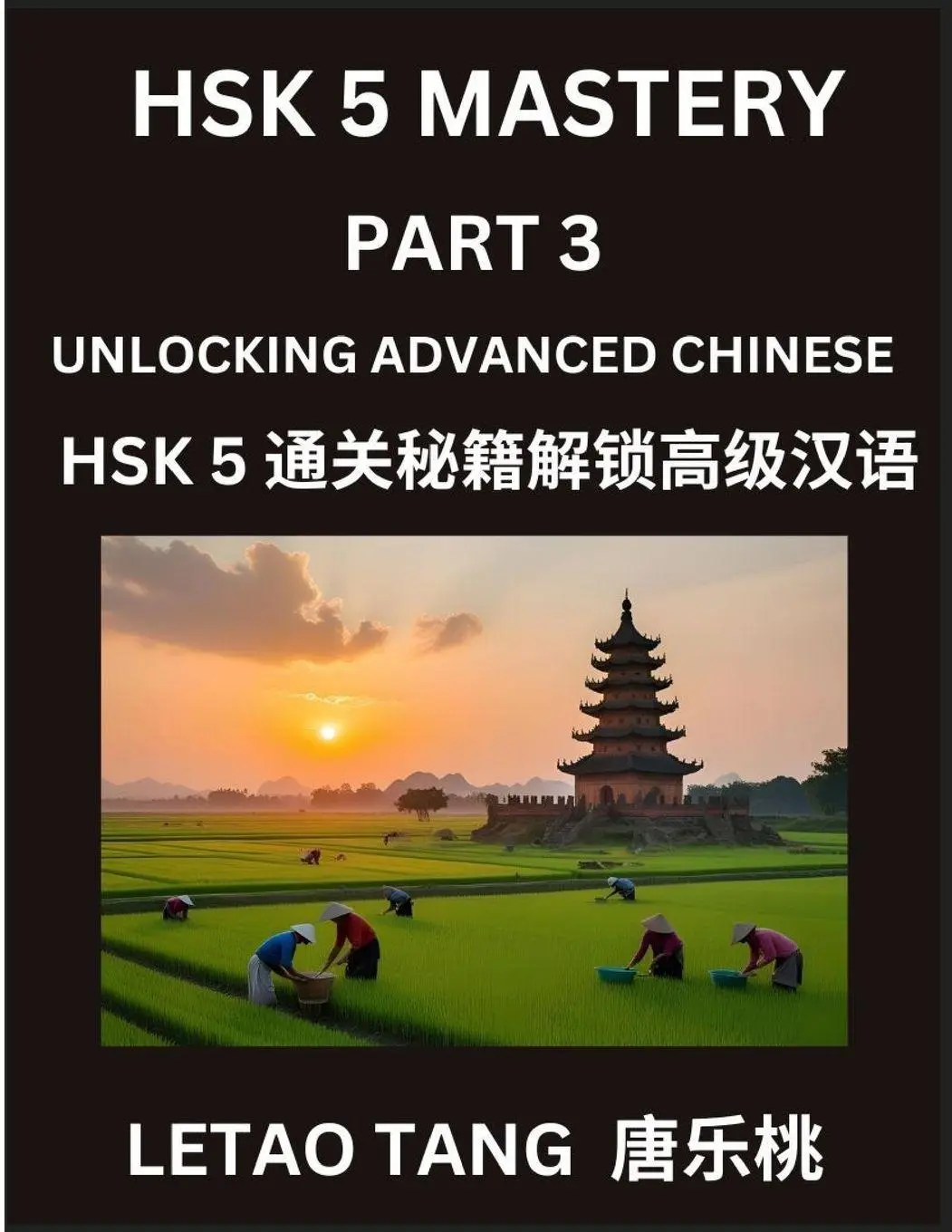 Cover: 9798887548388 | Chinese HSK Level 5 Test (Part 3) - A Guide to HSK Test, Self-study...