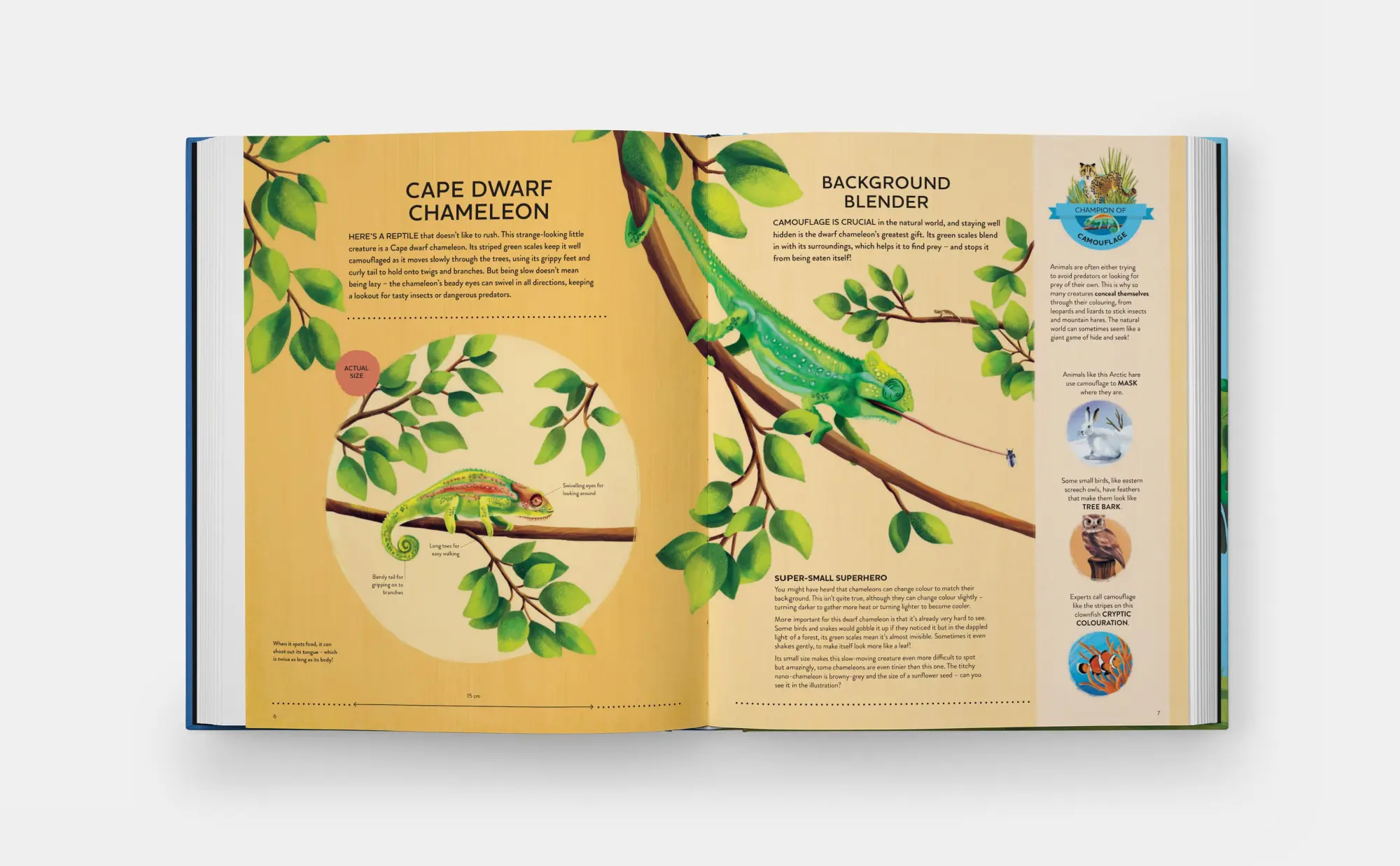 Bild: 9781838668488 | Nature's Tiny Champions | Ben Lerwill | Buch | 48 S. | Englisch | 2025